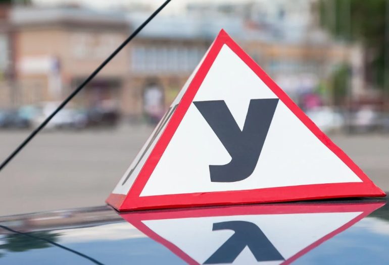 Автошколы Гомеля для новичков: на что смотреть кроме цены