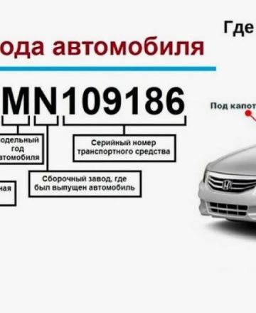 Проверка авто по VIN-коду: как получить полную информацию об автомобиле